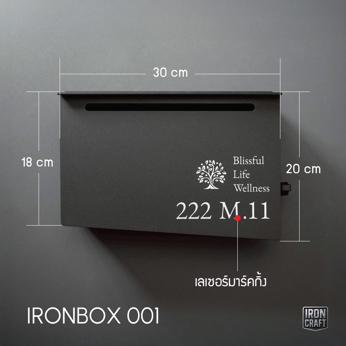 IRONBOX 001